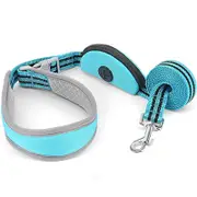 Reflective Nylon Hands Free Dog Walking Leash