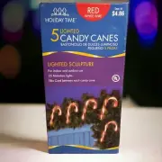 Holiday Time 5pcs Lighted Candy Cane Pathway Light Christmas Indoor Outdoor NEW