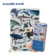 Crocodile Creek鐵盒圖鑑拼圖/ 海洋動物/ 150片