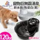 美國Pioneer Pet》寵物巨無霸湧泉飲水器(D160陶瓷白/D156黑)