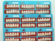 Dental Veneers 22# Upper Teeth Whitening Resin Temporary Tooth Crowns A1/A2/A3
