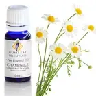 Gumleaf Essentials - Chamomile German Blue (3% In Jojoba) Essential Oil - 10ml
