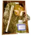 Reed Fragrance Oil Diffuser Orchid Scented