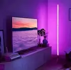 RGB Floor Lamps With Ambient Lighting And Color Style Change Two Pack
