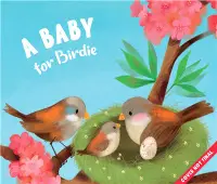 在飛比找三民網路書店優惠-A New Baby for Birdie