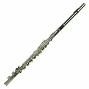 Steinhoff Student C Flute (Silver Plated)