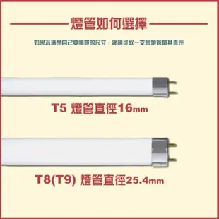 【東亞照明】LED T8 2尺10W燈管省電燈管10入(T8 LED 燈管 省電燈管 無藍光不閃頻)