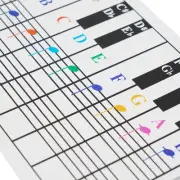 Beginner friendly Guide to Piano and Keyboard Chords 54 61 76 88 keys Edition