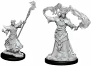 Human Male Wizard - Pathfinder Battles Deep Cuts- Wave: 11 WizKids WZK90052