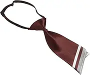 [BESTYASH] Ladies Professional Tie Necklace Skirt Cor for Women Cor Belts for Women Dress Ties Wide Belts for Women Scarfs for Women Belt for Woman Gold Tie Dress Belt Imitation Silk