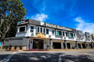 太陽花酒店Sunflower Hotel Malacca