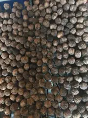 black walnuts in shell $8.00 per Pound! Shipping Will Depend On Weight