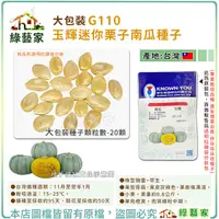 在飛比找Yahoo奇摩購物中心優惠-【綠藝家】大包裝G110.玉輝迷你栗子南瓜種子20顆 型美色