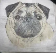 Hand Painted Needlepoint Canvas ’Pug Face’ / 15 mesh count