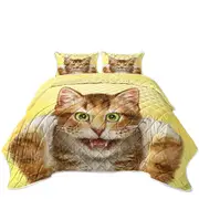 Beautiful Cats Art Paintings Funny Face Kitten Coverlet