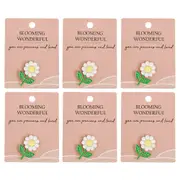 6x Urban Daisy Flower Memento Pin White Display Decorative Keepsake Home Decor