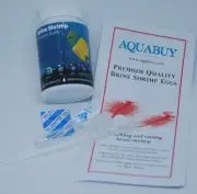 Fish Food Eggs 50g in Plastic Container High Hatch rate from the USA
