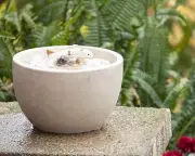 Foreside Home and Garden Multicolor Tidepool Ceramic Indoor Water Fountain