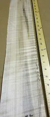 Spalted Ambrosia Wormy Maple Figured Fiddleback wood veneer 4" x 32" no backing