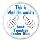 This Is What The World's Best Teacher Looks Like - 3" Sew / Iron On Patch Gift