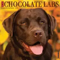 在飛比找博客來優惠-Just Chocolate Labs 2024 12 X 