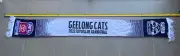 AFL Grand Final Geelong vs Sydney 2022 Scarfe