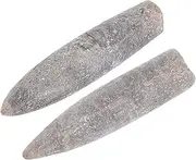 TEMPNAP 2pcs Natural Belemnite Specimen for Education and Training for Geology and Paleontology Studies Enhancing Learning with Adornments