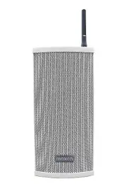 Wireless Loudspeaker For Portable Mobile Base Radio Analog And DMR Maxon MDS1400