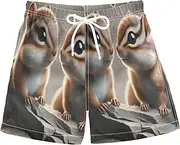 [RPLIFE] Boys Beach Shorts, Anti Chafe Swim Trunks Boys 2 T, Chipmunks Cute Animals Vintage