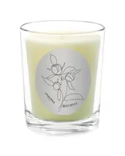 Qualitas Candles Bouque Scented Beeswax Candle NoSize NoColor