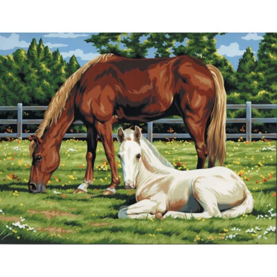 Paint By Number Kit Artist Canvas Series 11"X14" Horses In Field