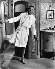 Charade Cary Grant smiling full length pose in bath robe 16x20 inch Poster