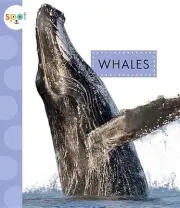 Whales by Mari C. Schuh (English) Paperback Book