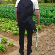Manual Fertilizer Spreader Fertilizer Sprayer with Bag for Lawn Turf Orchard