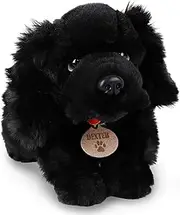 35cm Keel Toys Black Spaniel Soft Toy Dog 'DEXTER' EXCLUSIVE TO TOYLAND