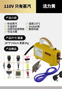 在飛比找樂天市場購物網優惠-洗車機 高壓洗車機 家用洗車機 110v台灣蒸汽清潔機空調清