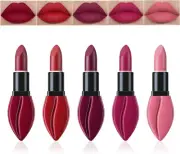 Pure Vie Lipstick Set 5Pcs Matte Liquid Lipstick Non-Stick Long Lasting Lip Glos