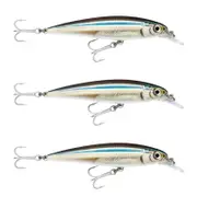 3x Rapala 14cm Saltwater X Rap Jerkbait Fishing Lures - Anchovy