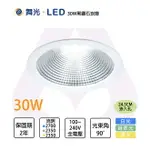 舞光LED 30W 45W 20.5CM/24.5CM 黑鑽石崁燈 適用挑高6米 白/黃/自然光 全電壓〖永光照明〗