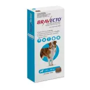 Bravecto Large 20-40kg Blue Dog Flea Treatment Chew Kills Fleas & Ticks 1 pack