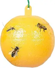 Sticky Gnat Traps - Insectt Sticky Traps, Double Sided Gnat Catcher | Non Toxic Greenhouses Safe Houseplants, Portable Odorless Gnat Indoor and Outdoor Use Trap for Gnats, Aphids Gardens