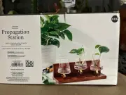 Better Homes and Gardens 3 Beaker Propagation Station, Beige Wood & Clear Glass