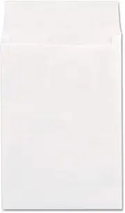 (10X13X1.5) - Tyvek Expansion Envelope, 10 x 13, White, 100/Box