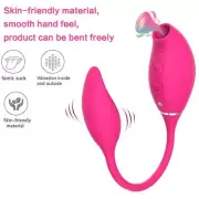 Clitoris Sucking Vibrator Dildo Clit Stimulator Sucker Egg Bullet USB Sexy Toy