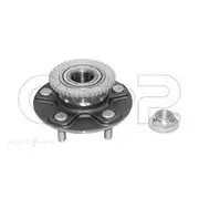 GSP Wheel Hub Assembly - 230058K