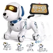 Remote Control Robot Dog Toy, Interactive RC Dog Robot Toys for Kids,