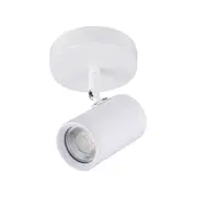 Aster Modern 1-Light Flush Ceiling Spot Light Lamp White