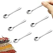 LunarCharm 6 Piece Small Stainless Steel Spoons for Spice Jars, Mini Size, Cute Little Spice Spoons in Silver