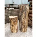 梅樹 樹幹 木料 木材 圓柱