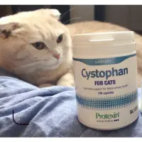 在飛比找蝦皮購物優惠-現貨免運Protexin Cystophan for Cat